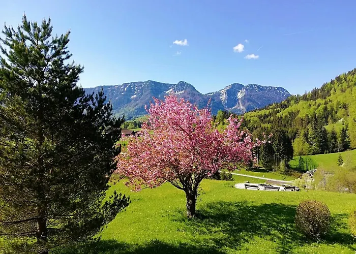 Heissenhof Hotel 3*